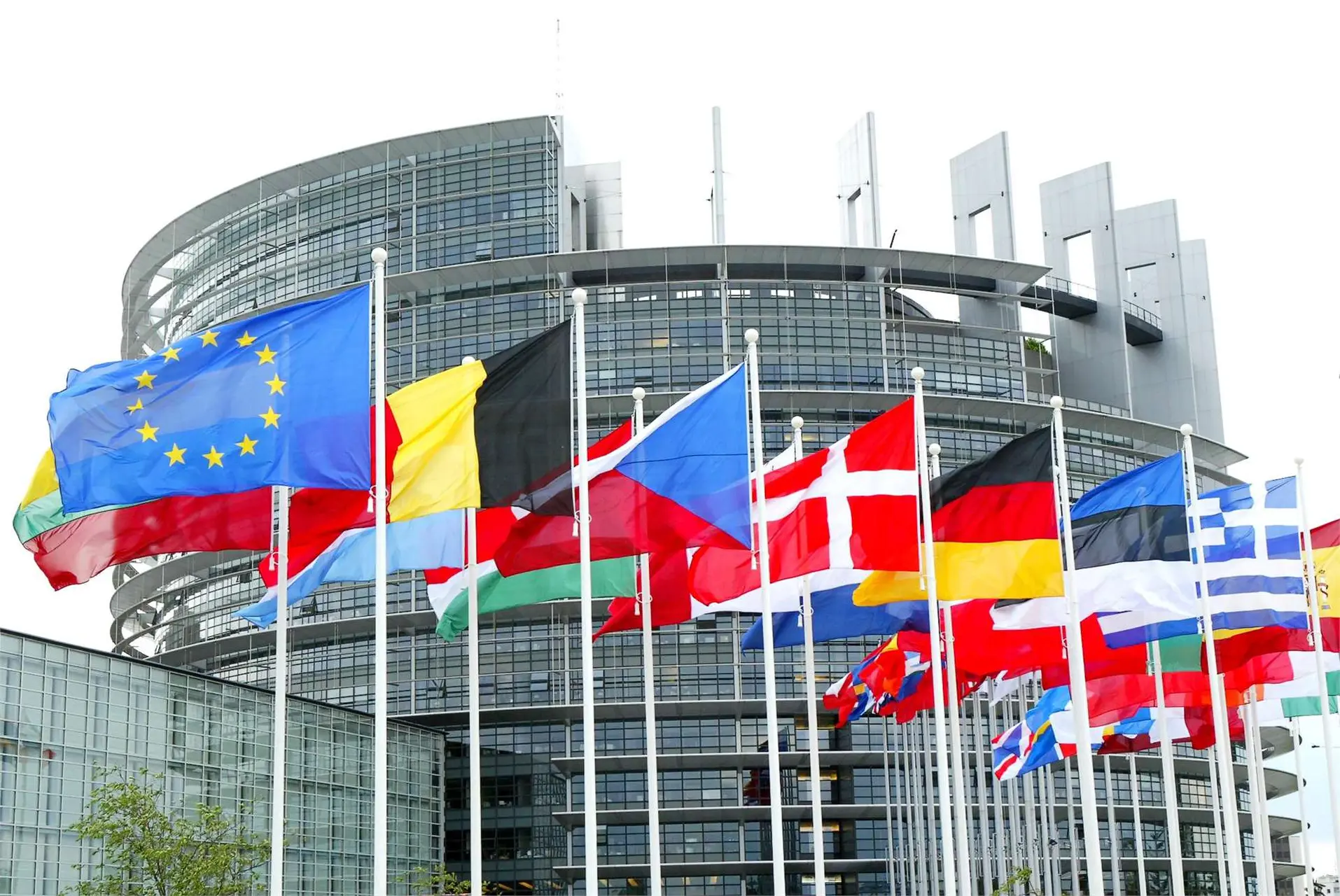 europarlamento unione europeo, si vedono tutte le bandiere dell'UE davanti alla sede