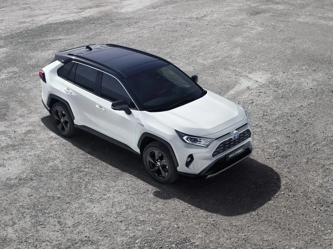 2019 rav4 hybrid 03