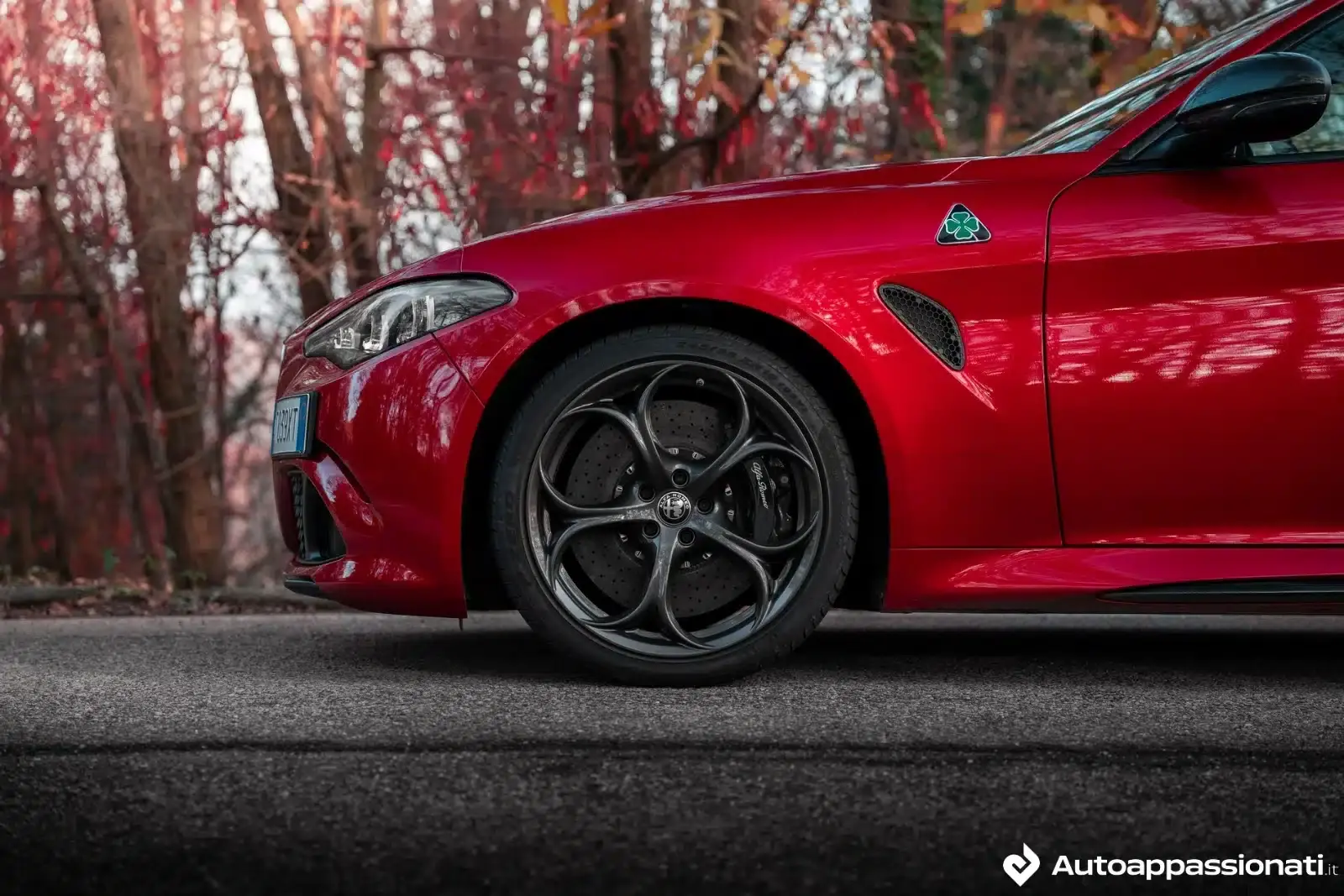 alfa romeo giulia quadrifoglio
