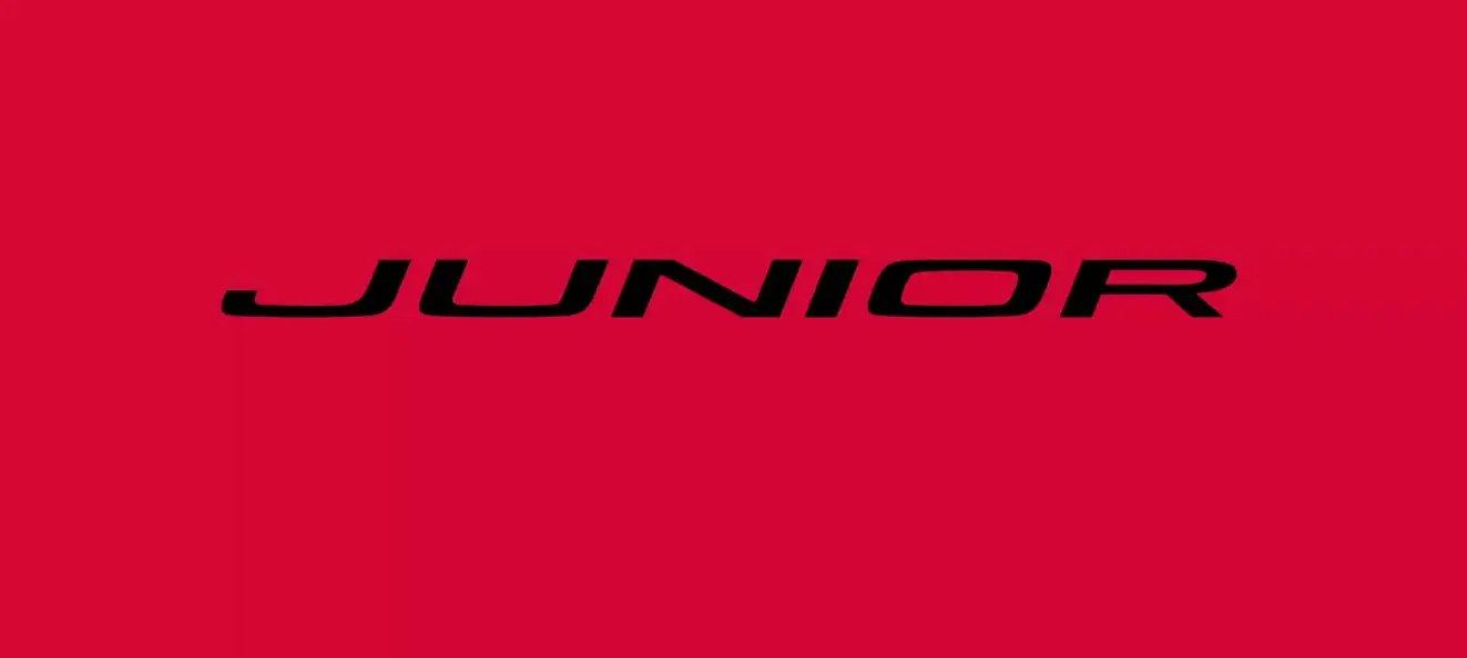 alfa romeo junior