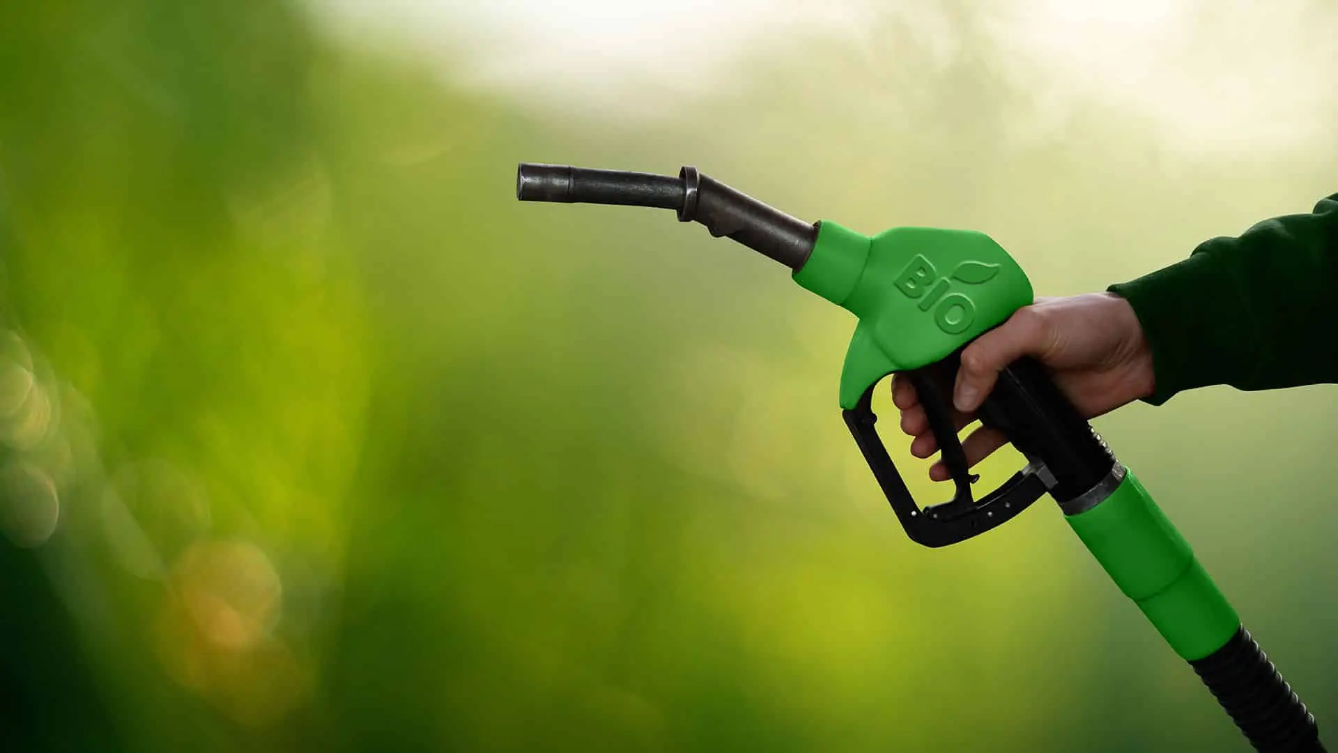 biocarburanti ue