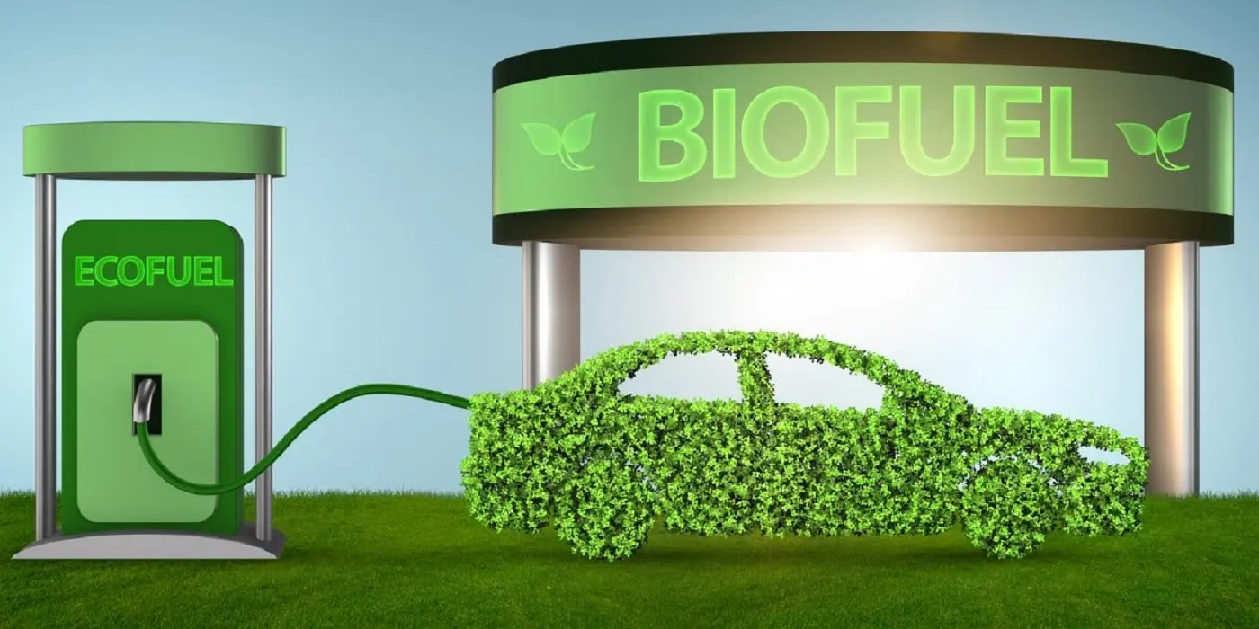 biocarburanti