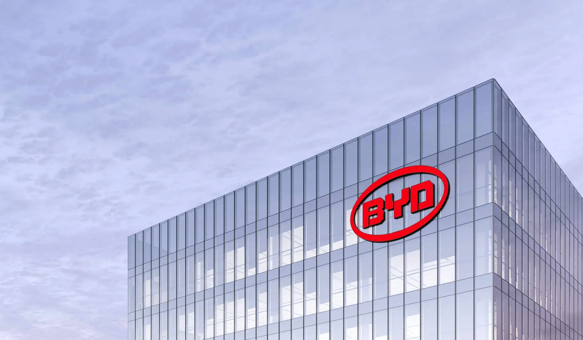 byd 6