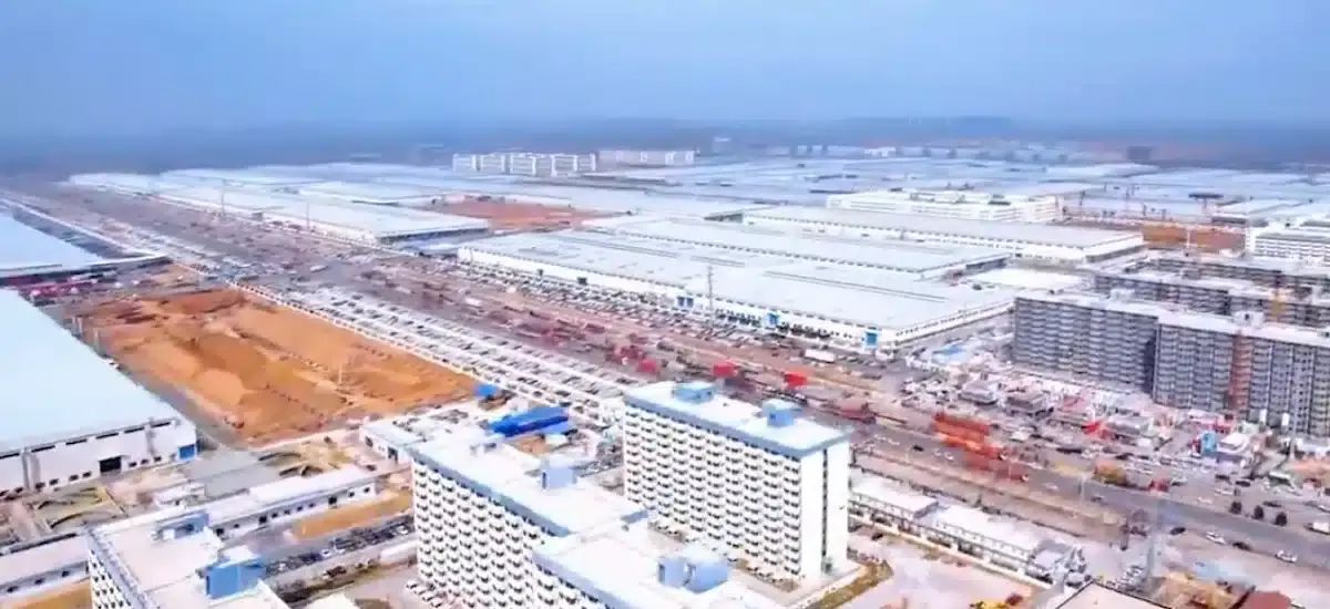 byd plant cover 25