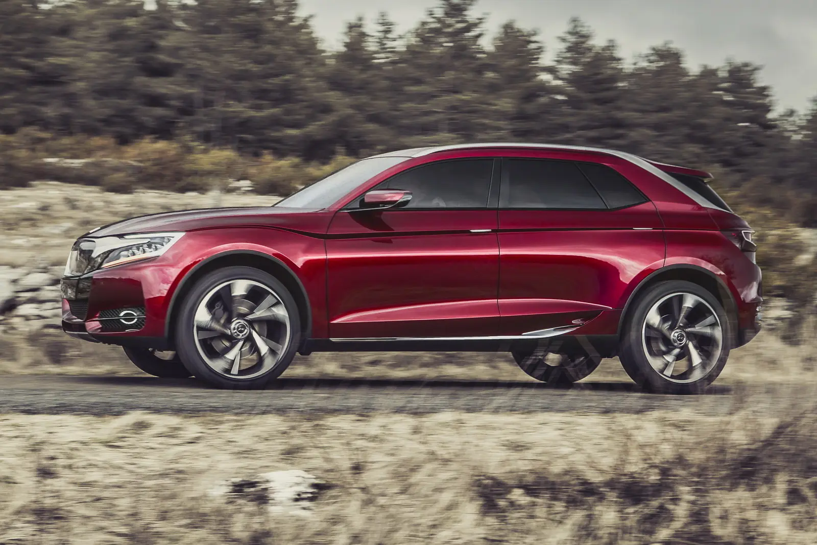 citroen ds wild rubis 2