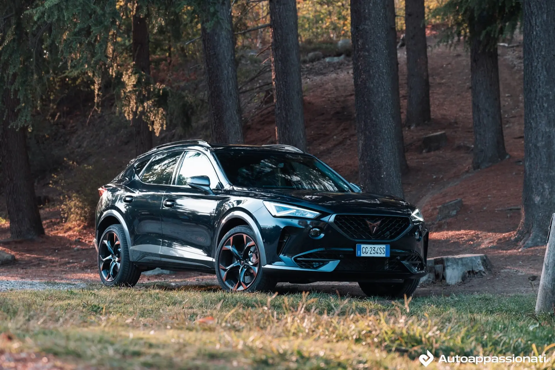 cupra formentor vz 13