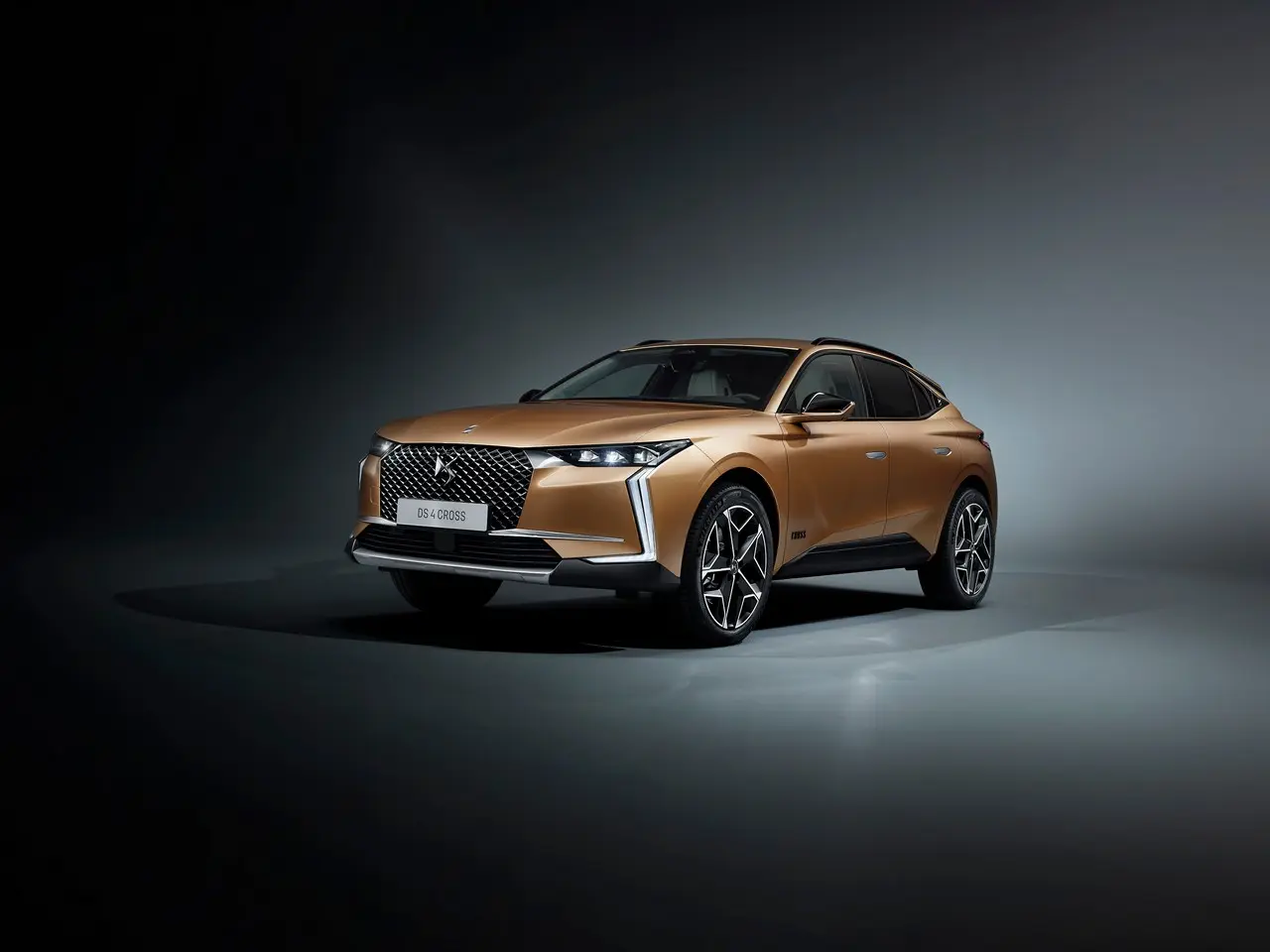 ds 4 foto
