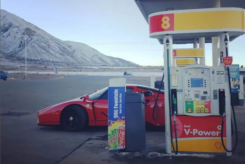 ferrari enzo daily car