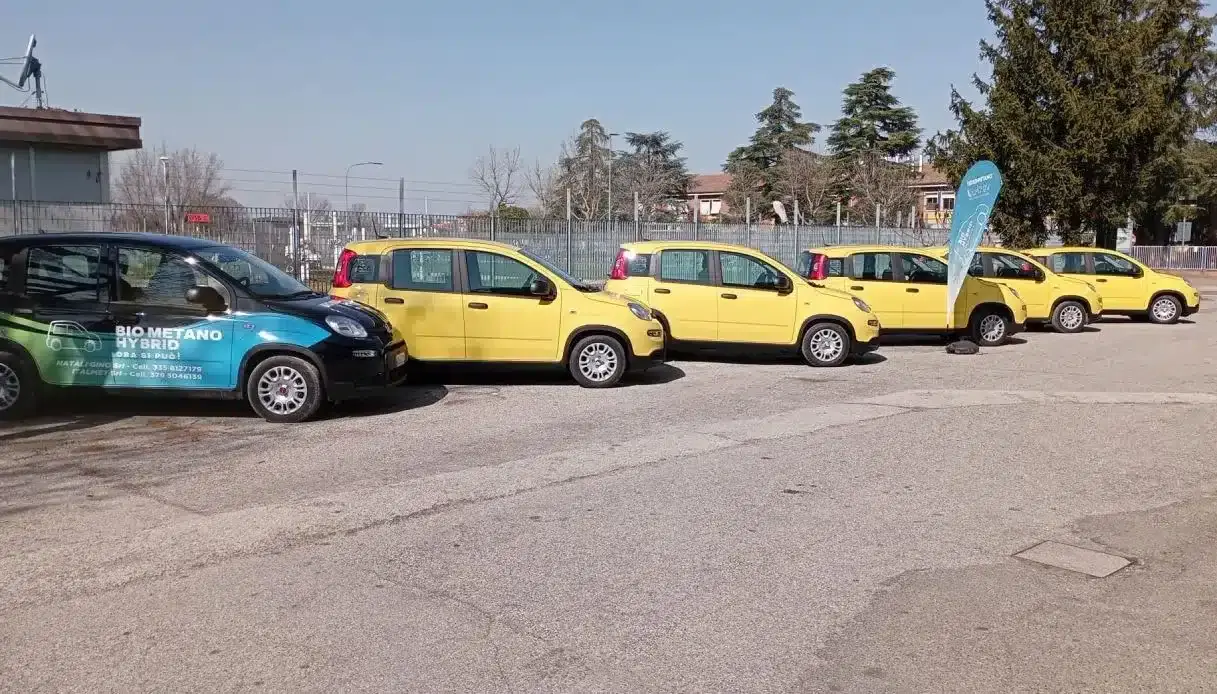 fiat panda hybrid biometano