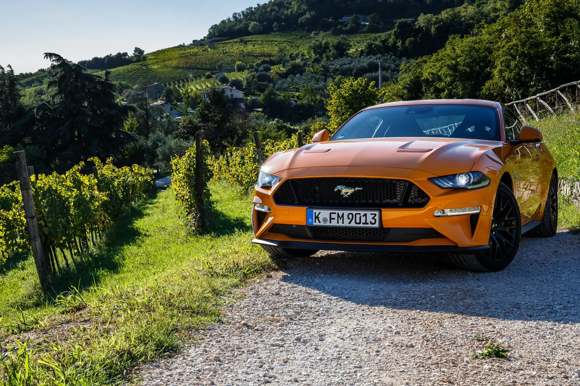 ford mustang 17