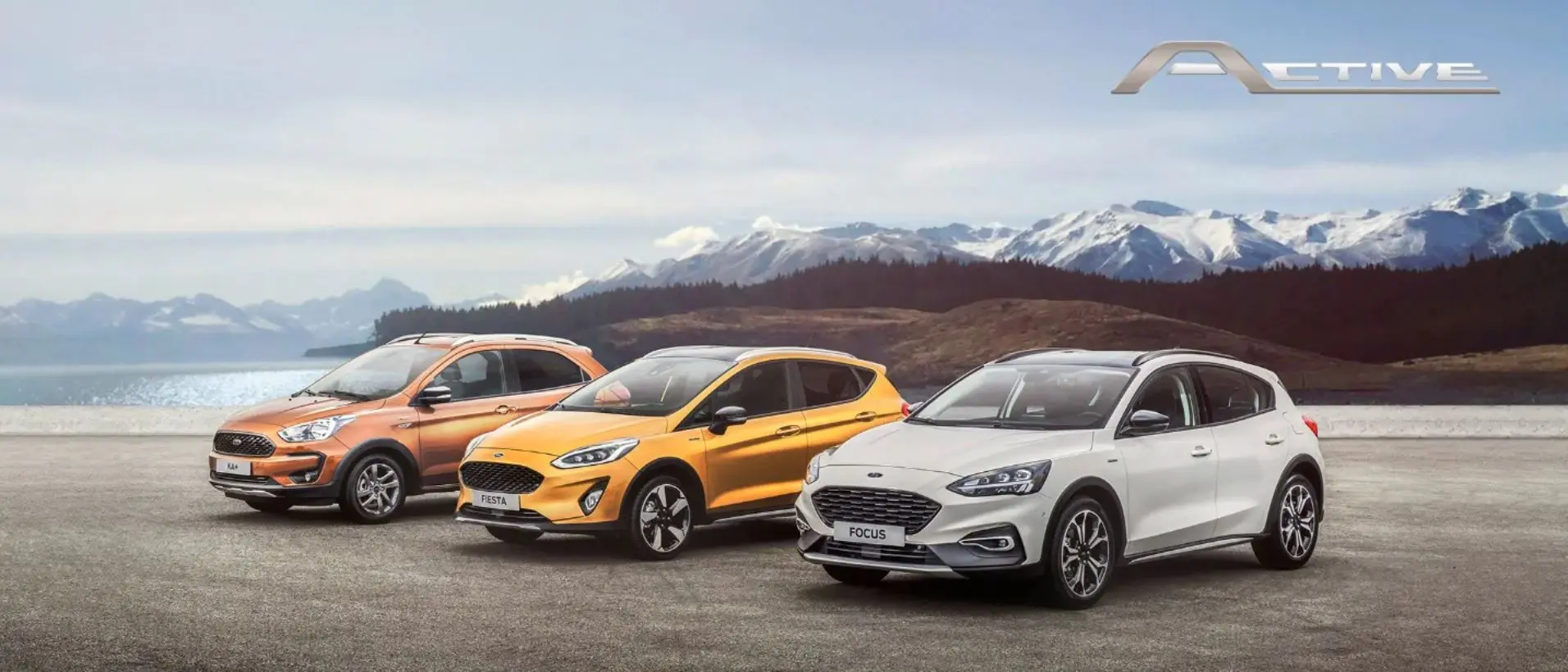 gamma ford active