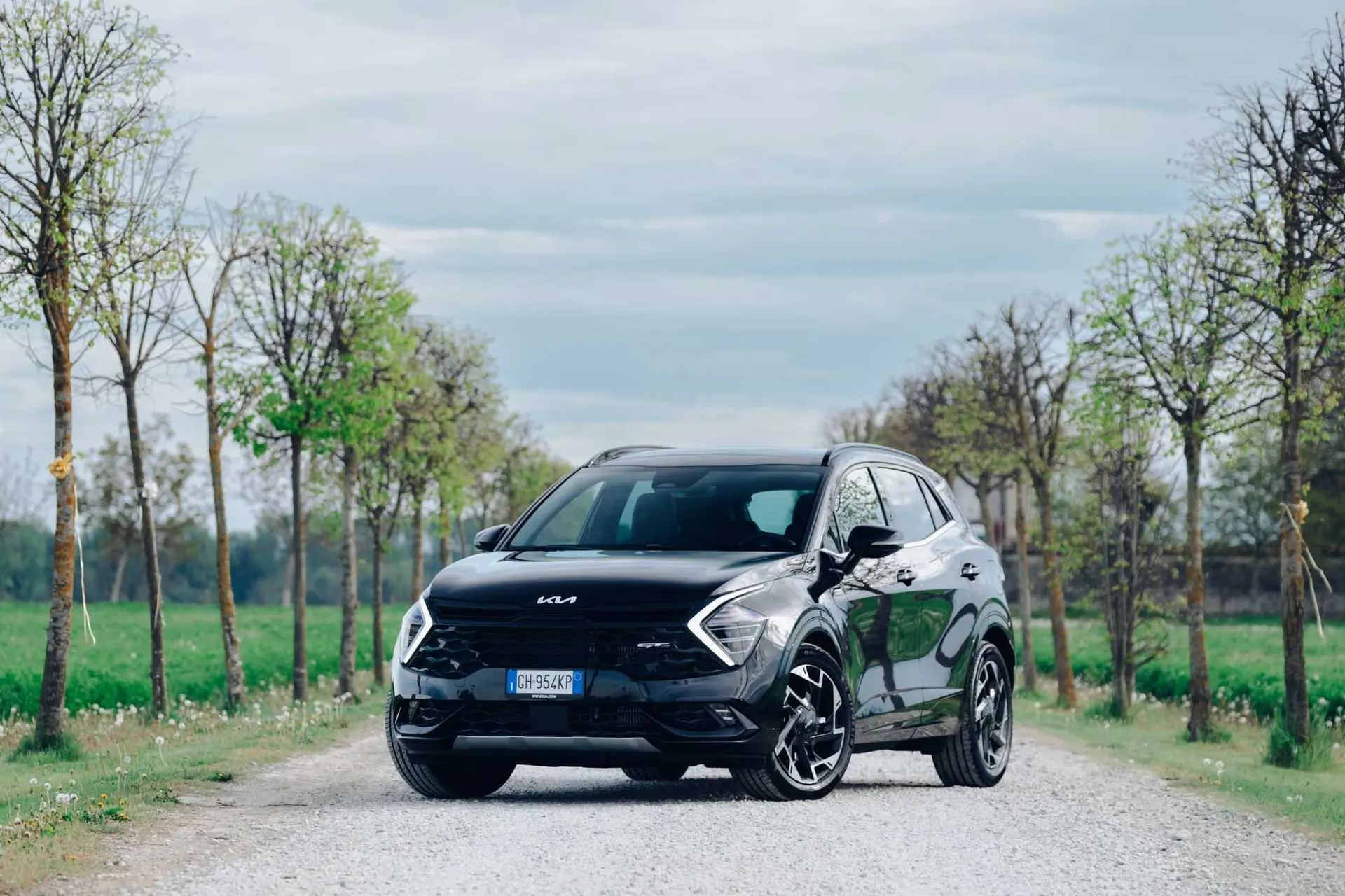 kia sportage 15