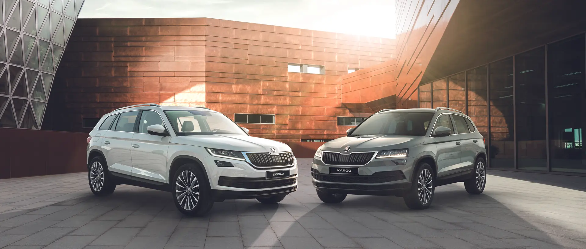 kodiaq e karoq stech
