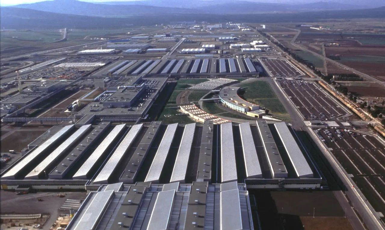 melfi plant