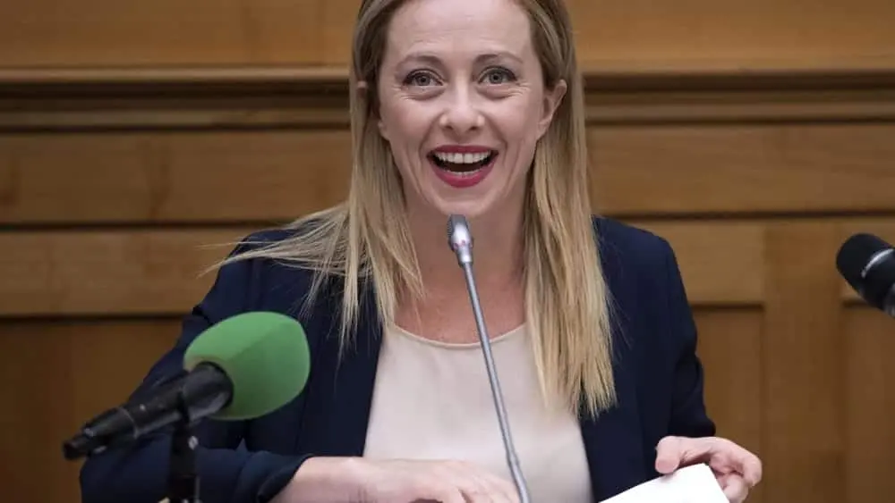 meloni seggiolini