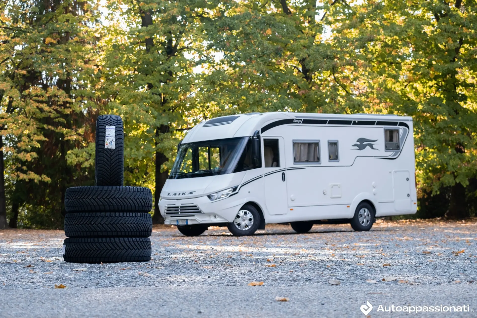 michelin cp 10