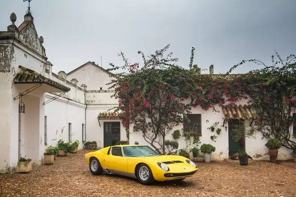 miura cinquantesimo testo