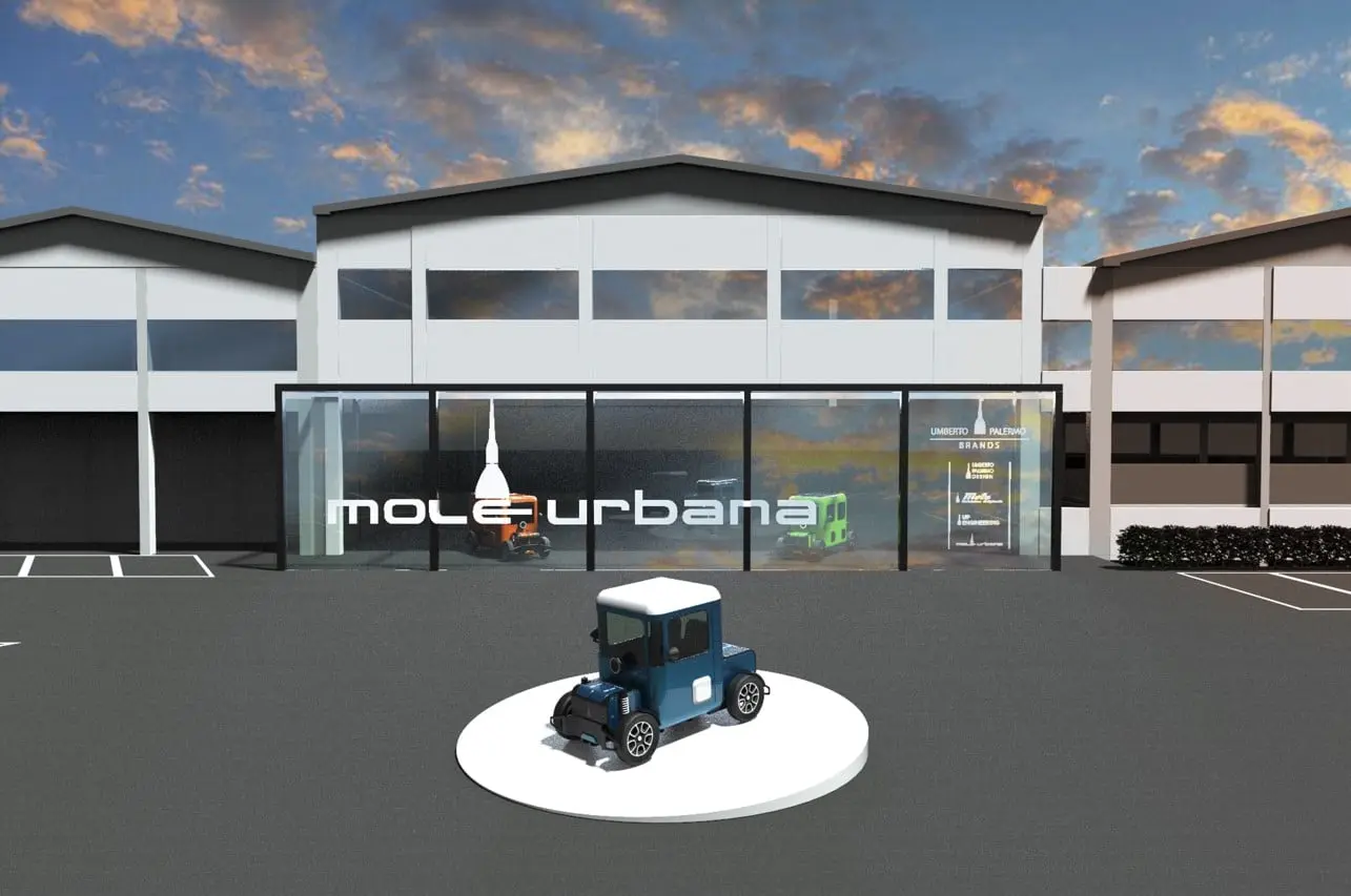 mole urbana