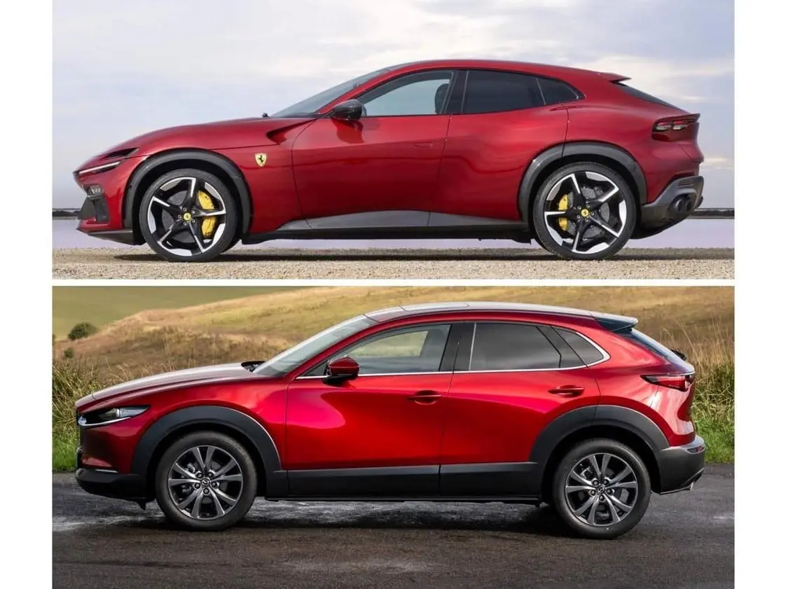 purosangue cx30