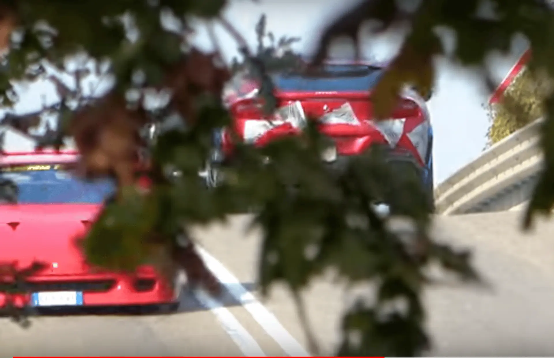 purosanguie f40