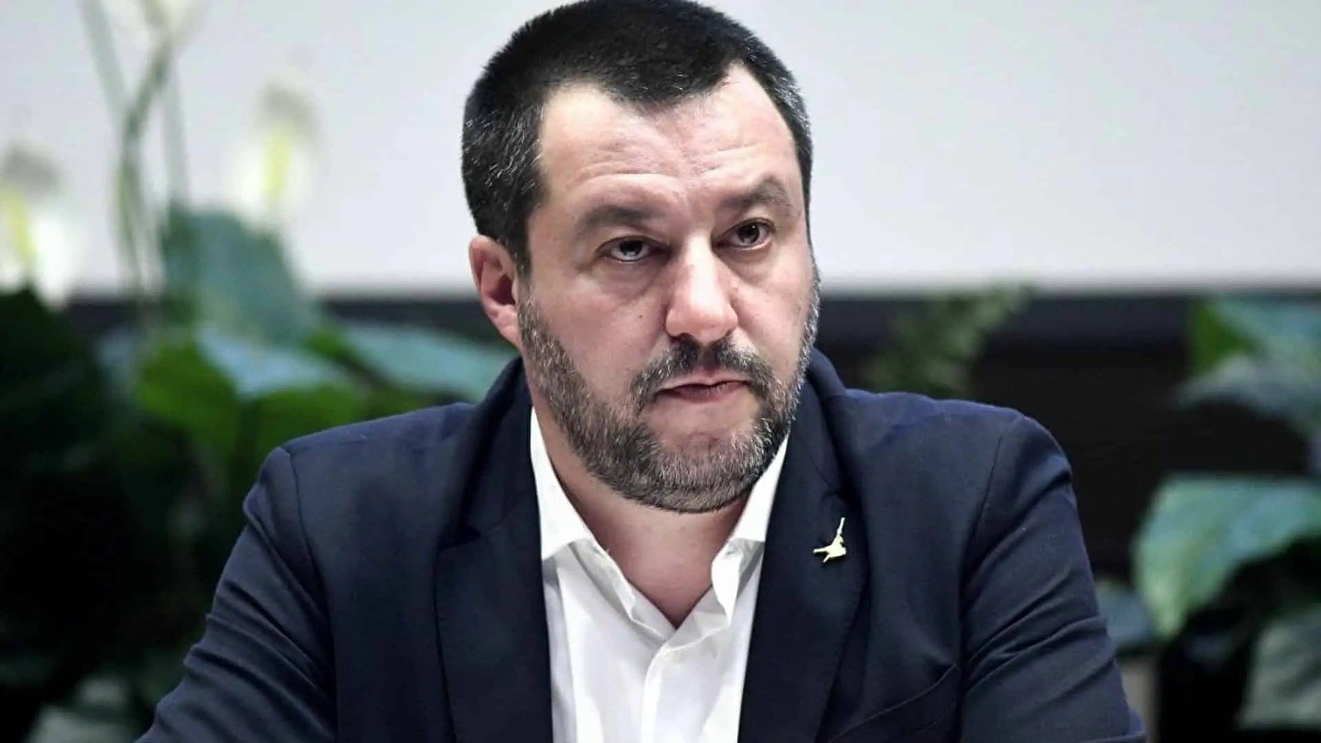 salvini