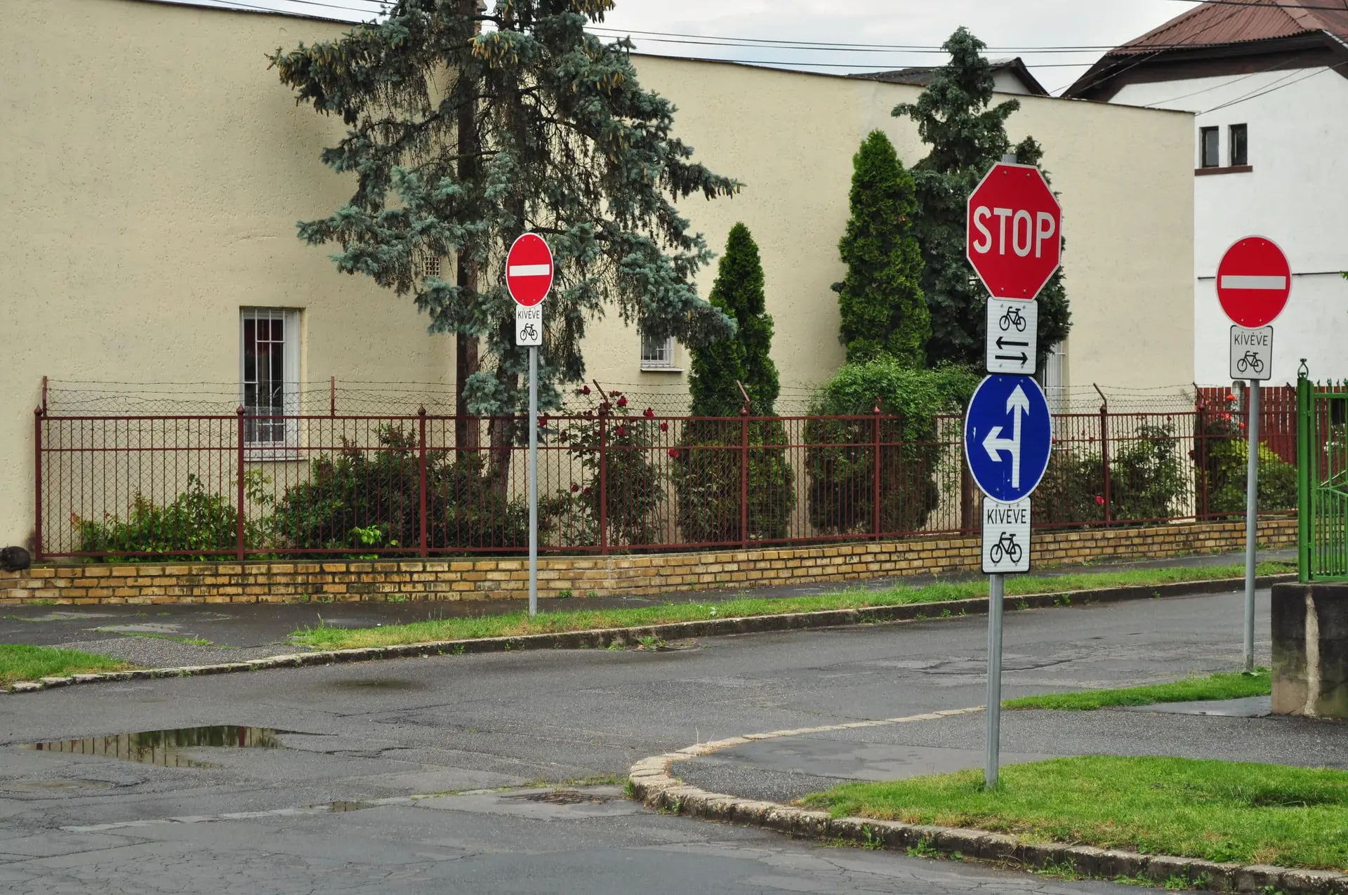 seganli di divieto copetina