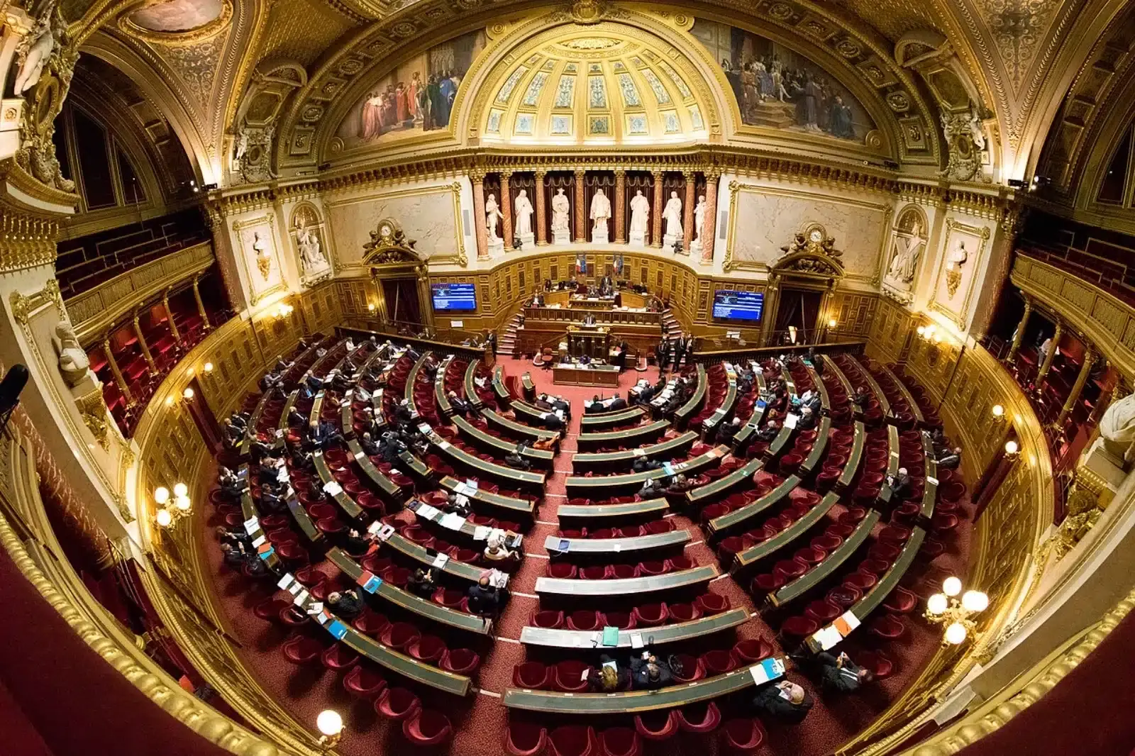 senato francese
