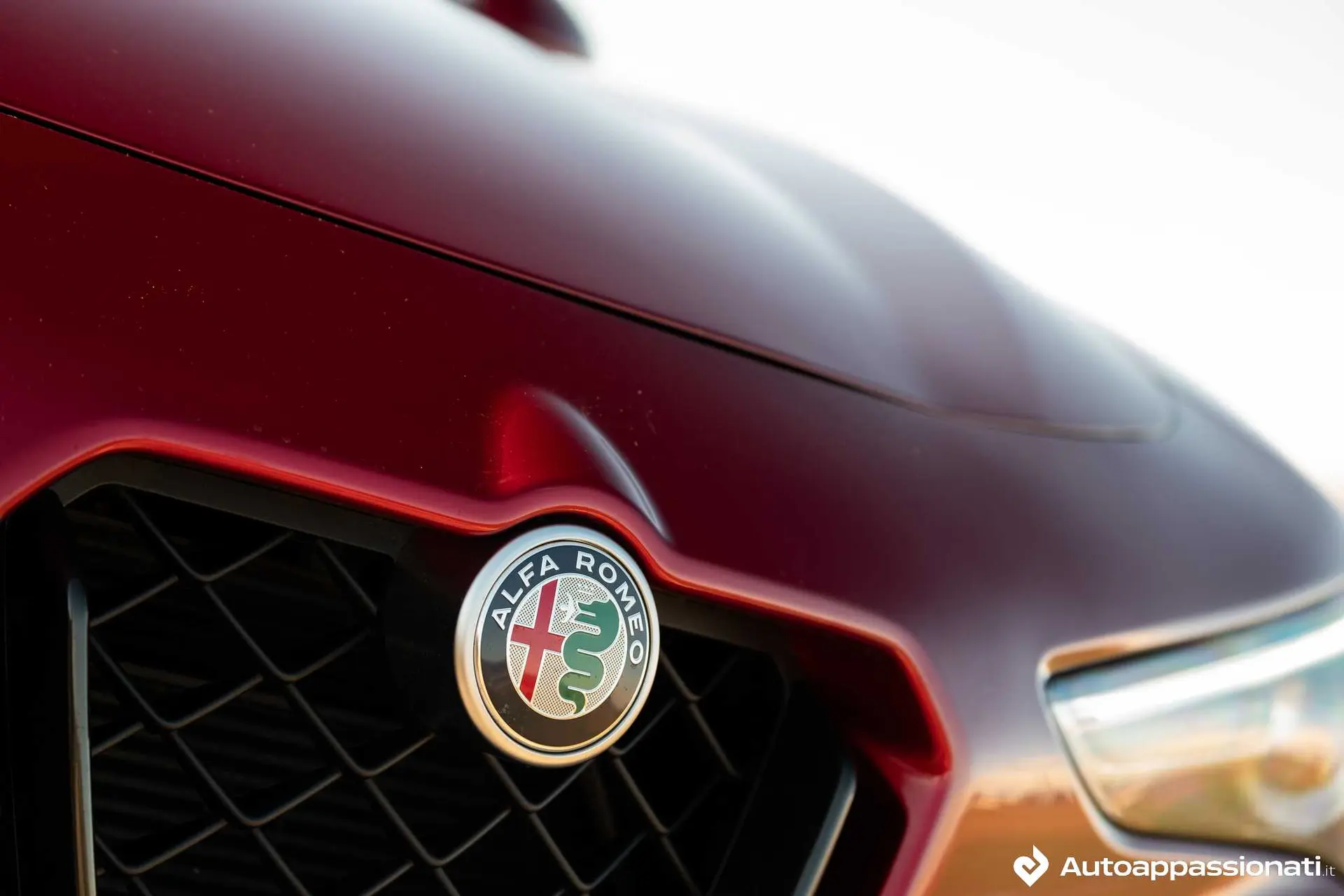 stelvio quadrifoglio 2021 06