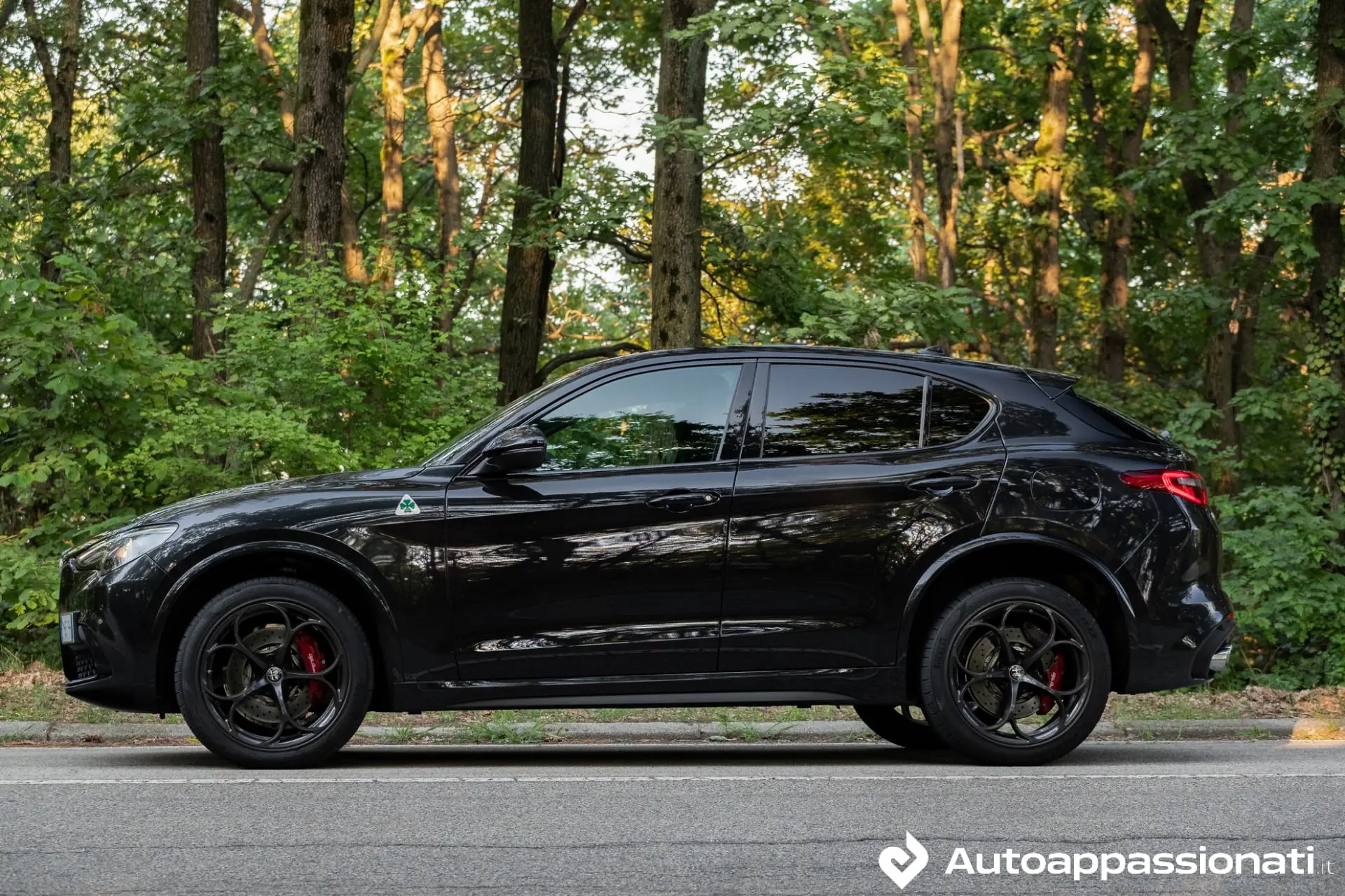 stelvio quadrifoglio 38