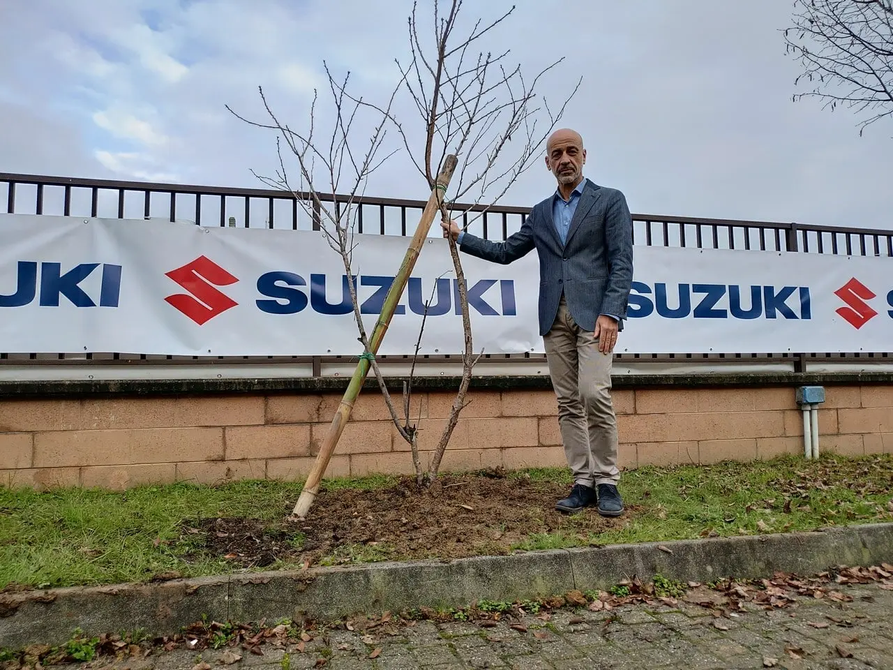 suzuki green friday
