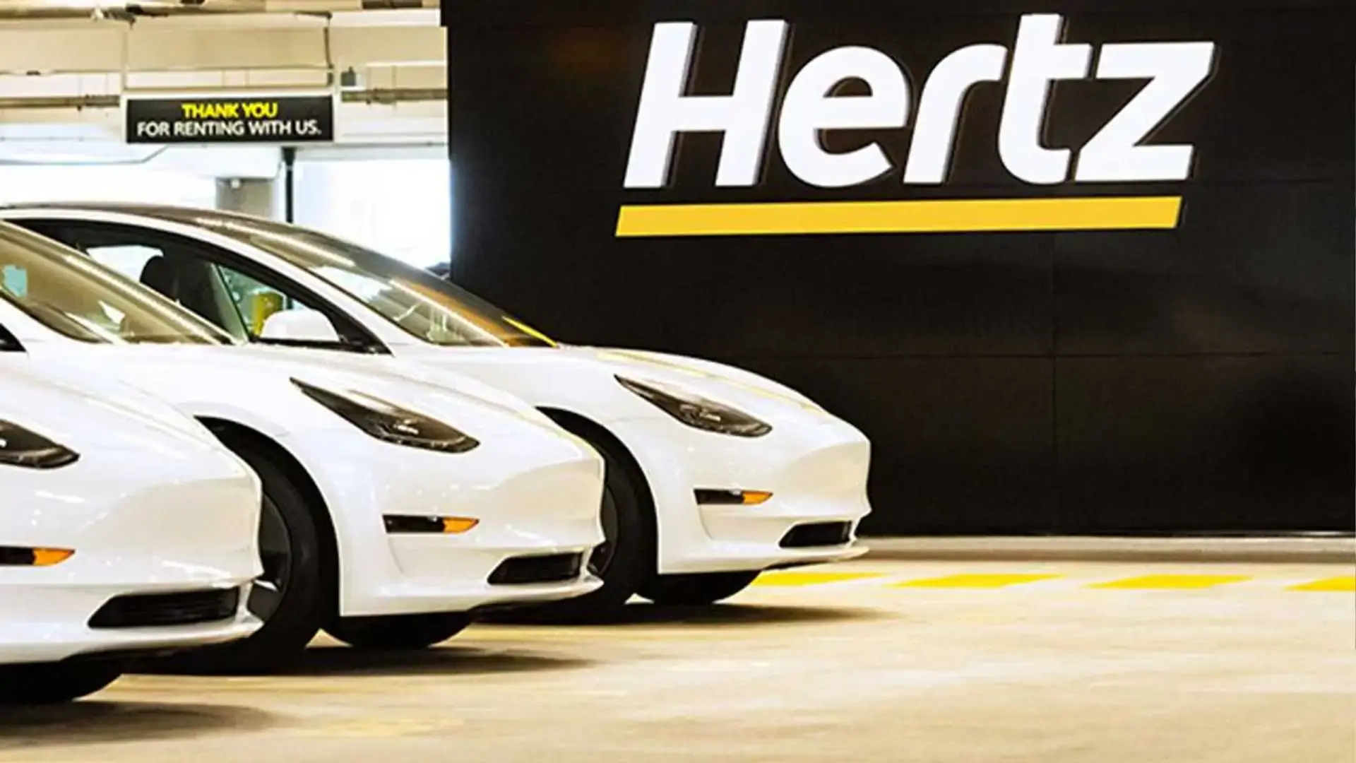tesla model 3 hertz