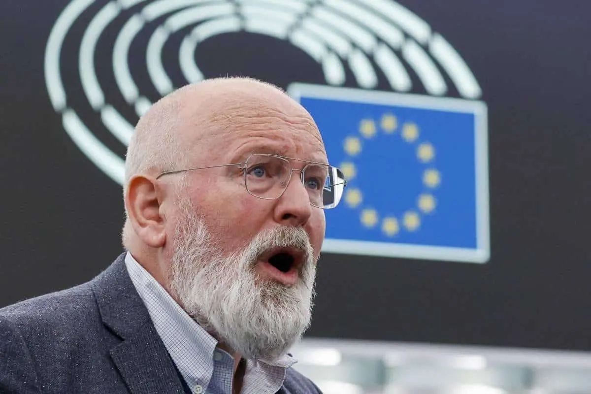 timmermans 3