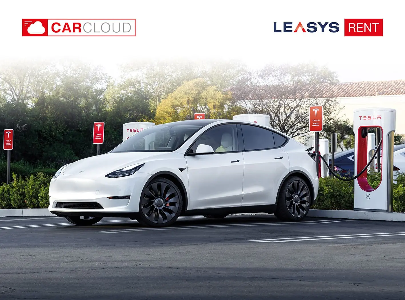 visual tesla