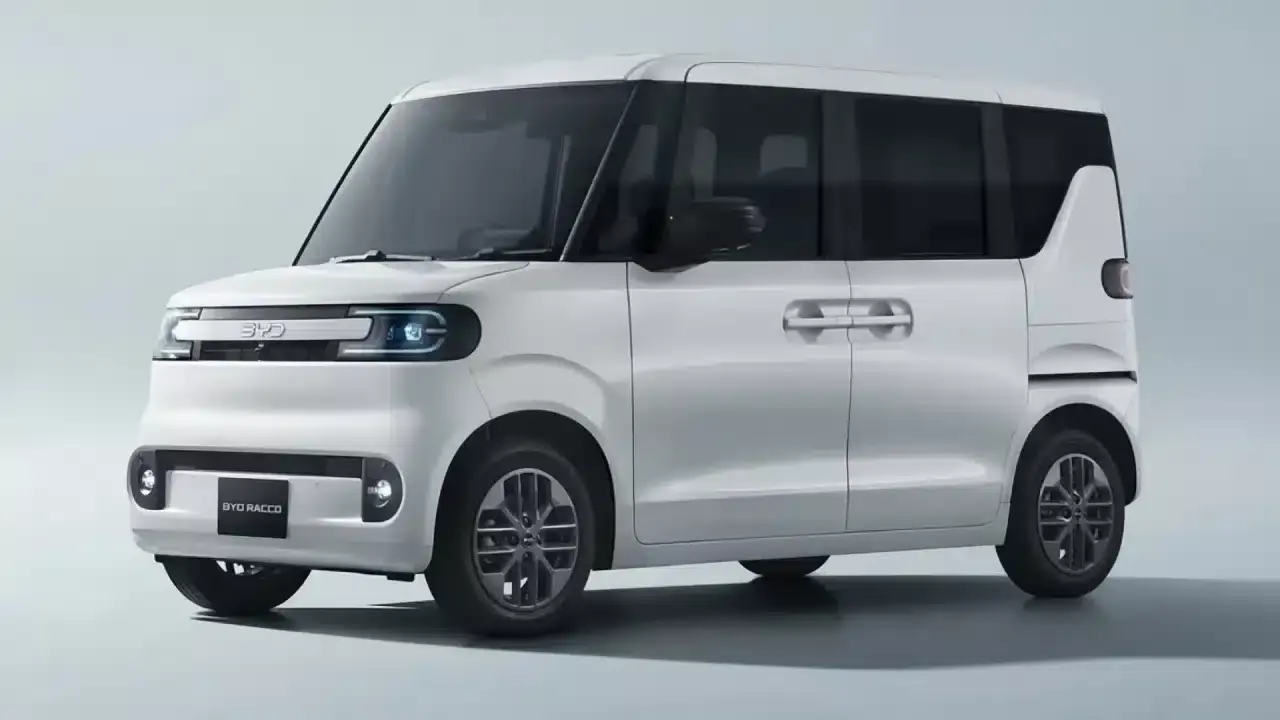 byd racco