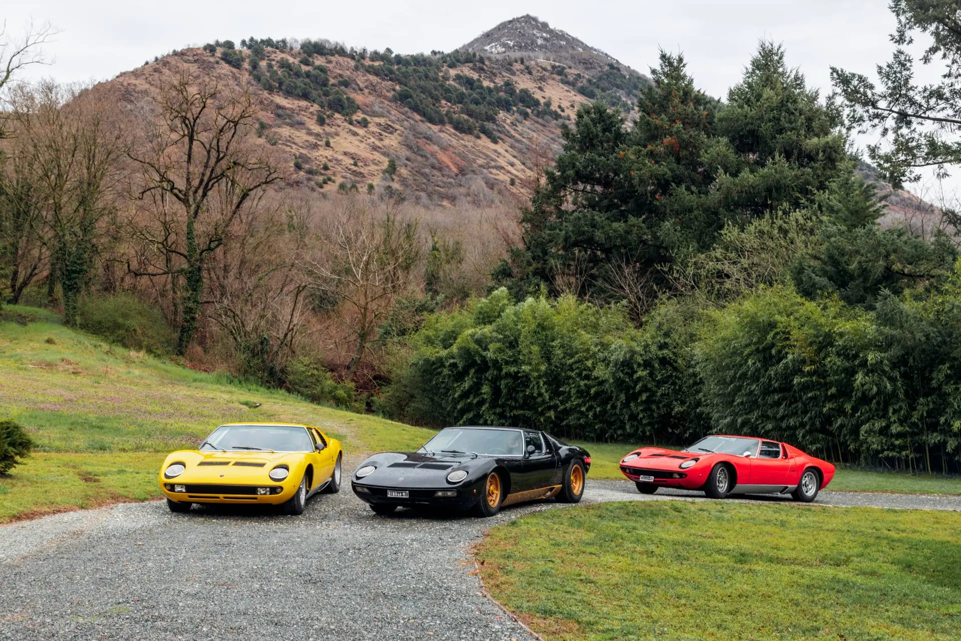 miura-60-anni