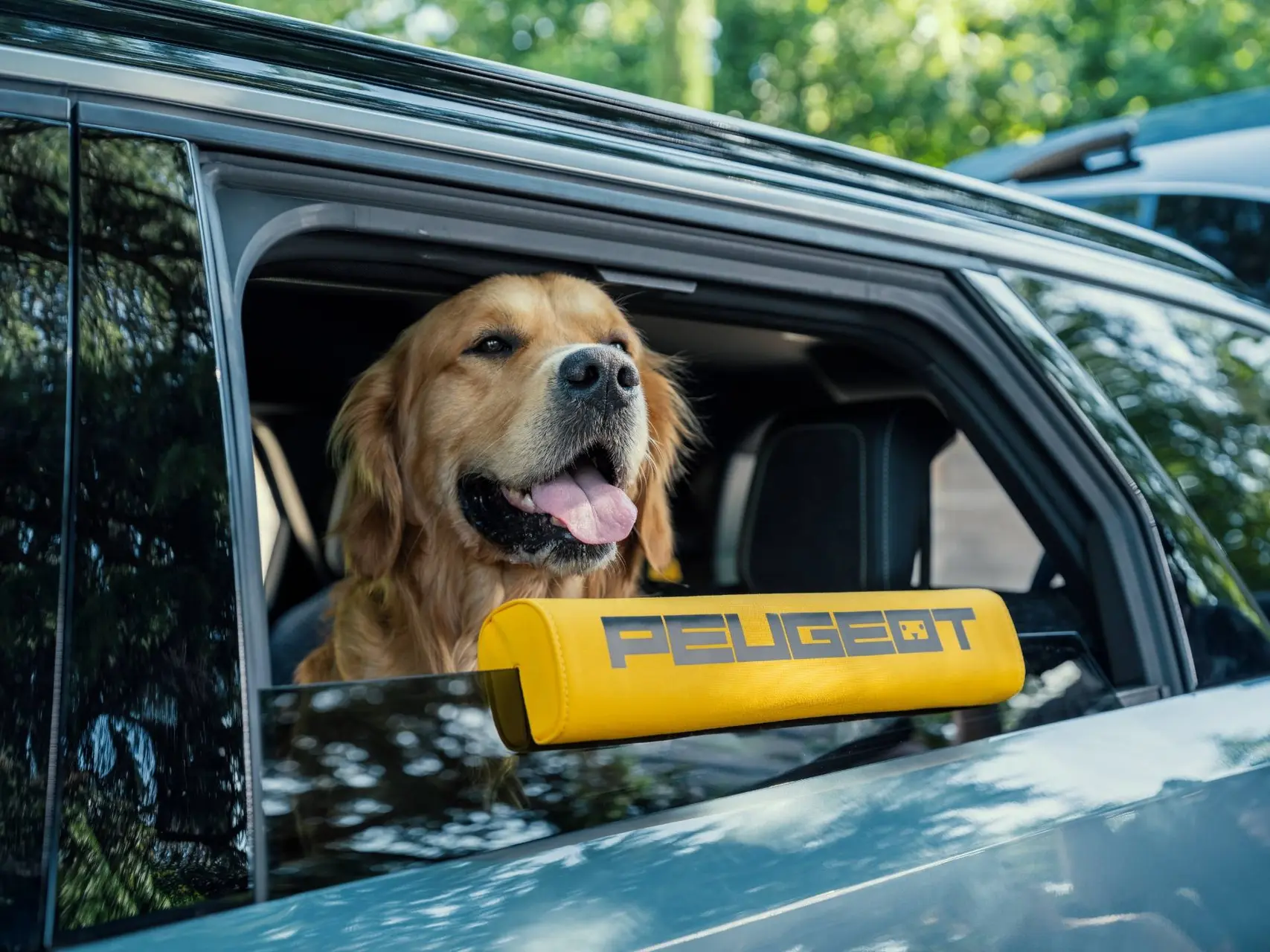 concept-e-5008-dog-edition