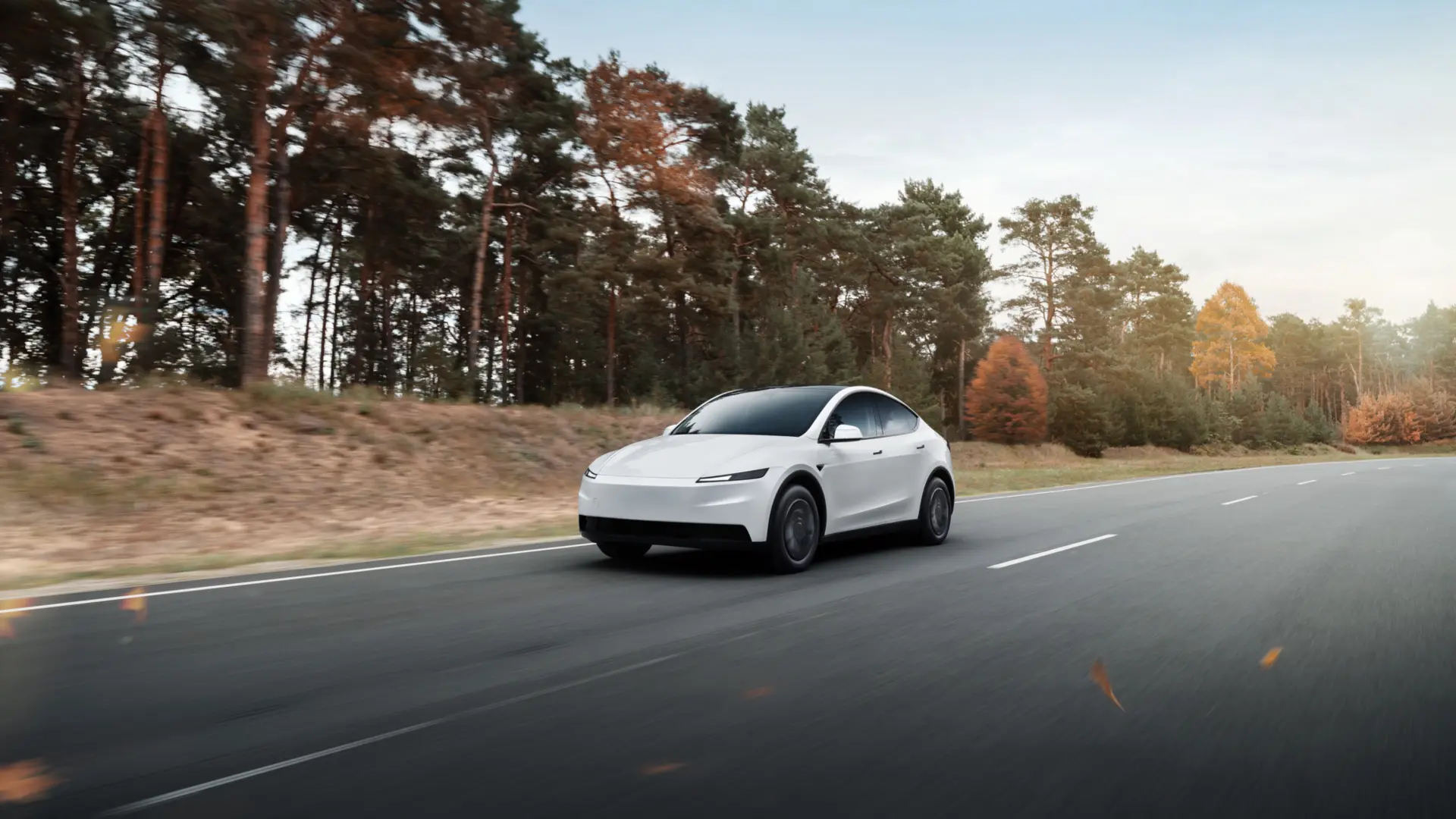Tesla Media library