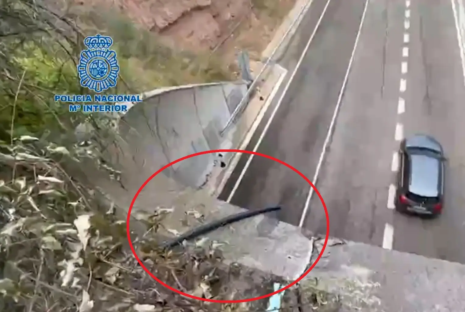 vueltaaespanaoliveoilpolice 64edc54c4436d