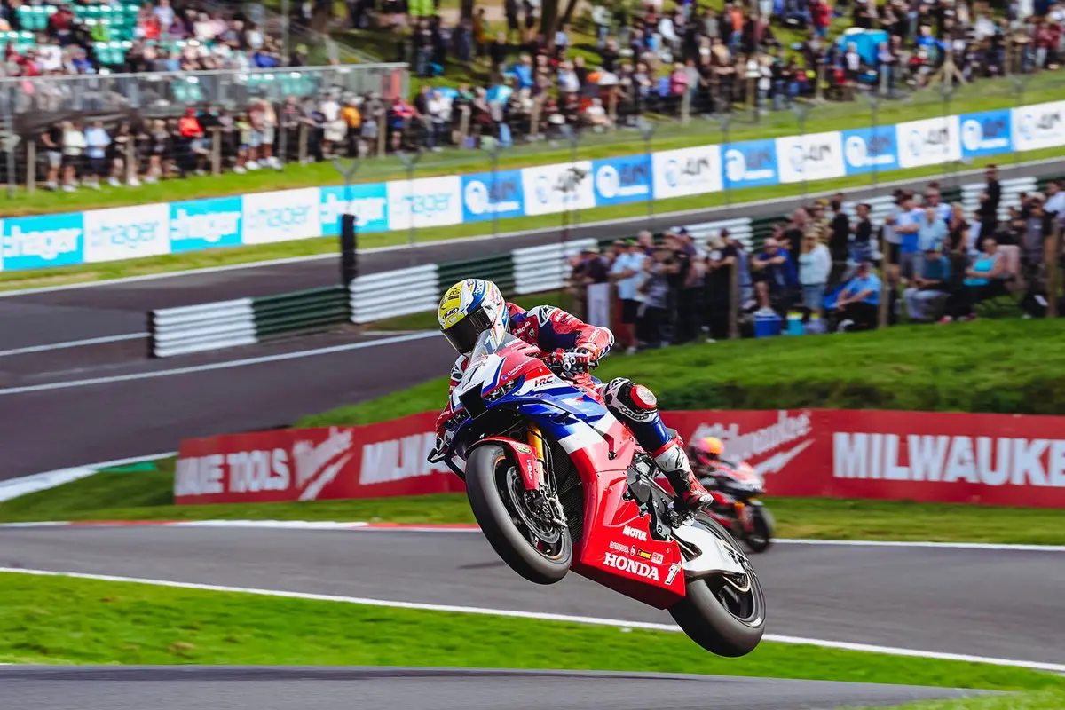 536277586 1170242285139746 2020091145548998064 n result
