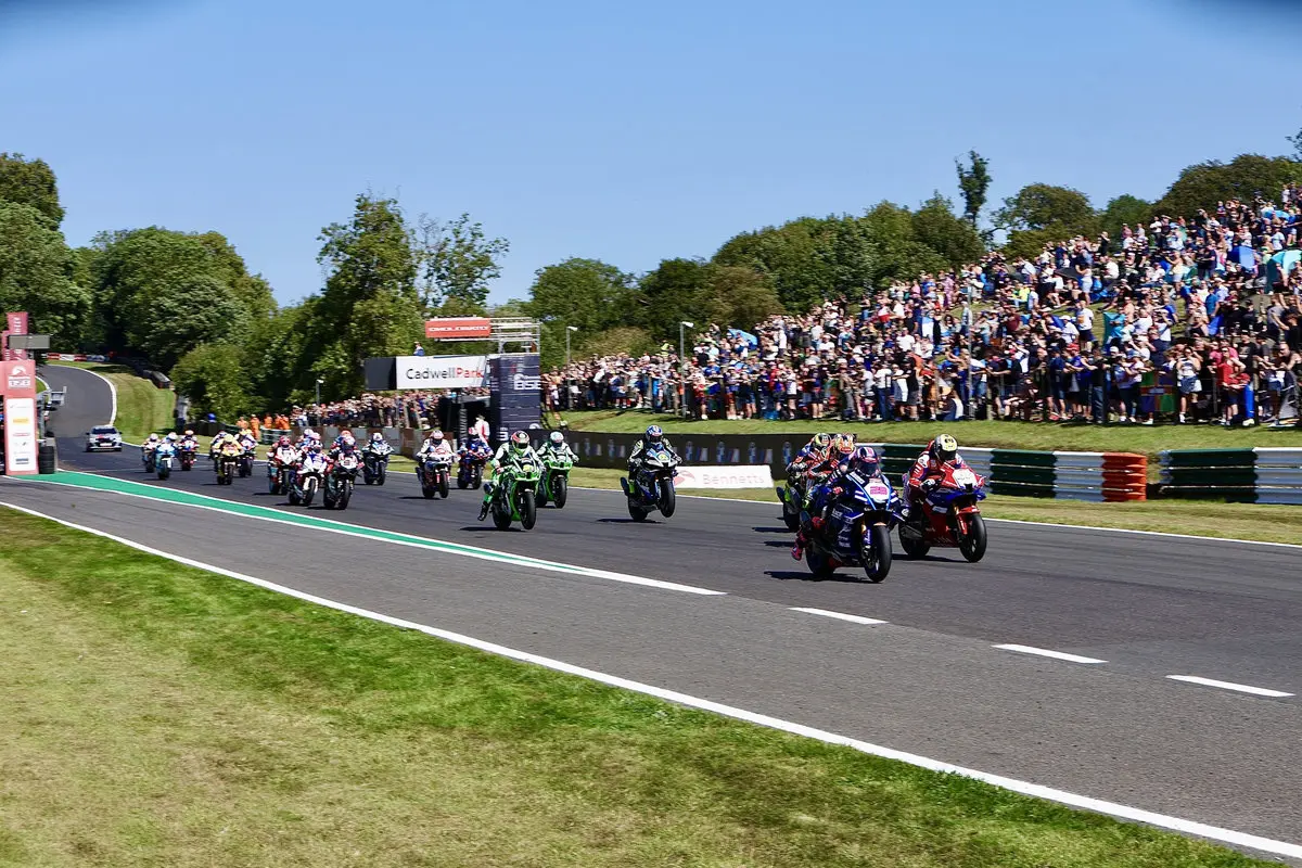 538164370 1307484188082106 297591696159936803 n result