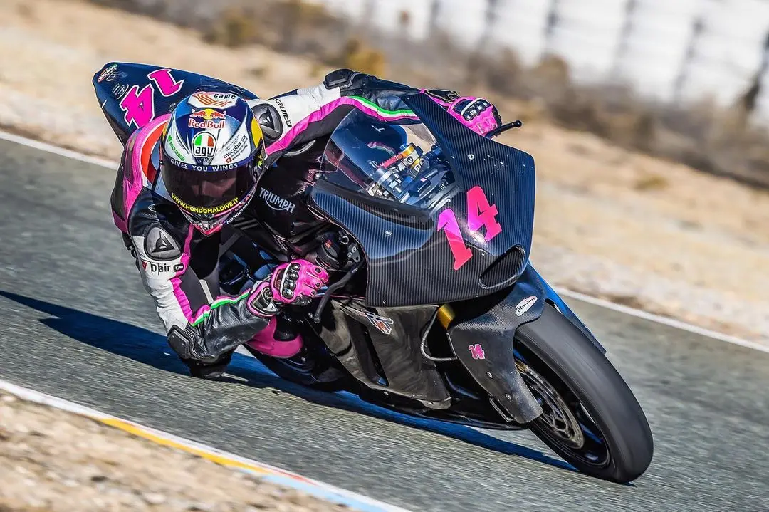 arbolino moto2