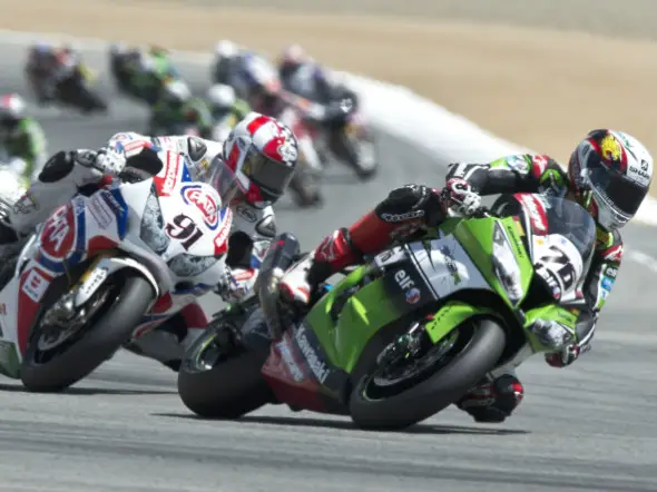 baz haslam laguna 2014