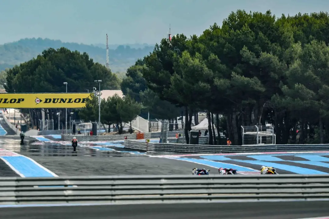bol dor 2019 mistral