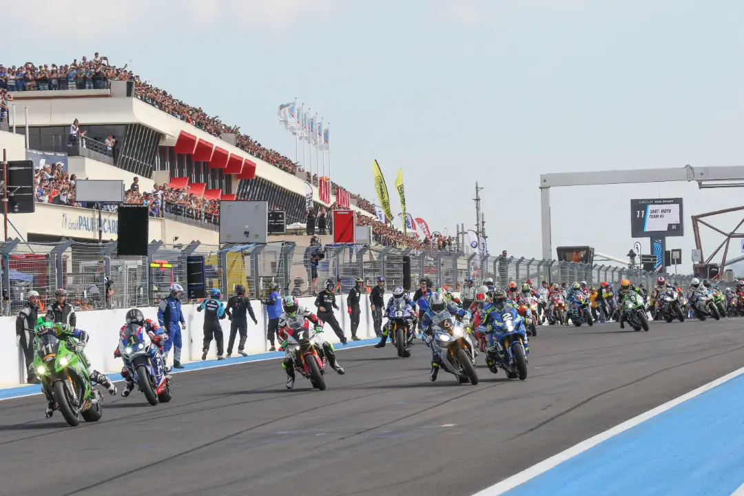 boldor 2019 start