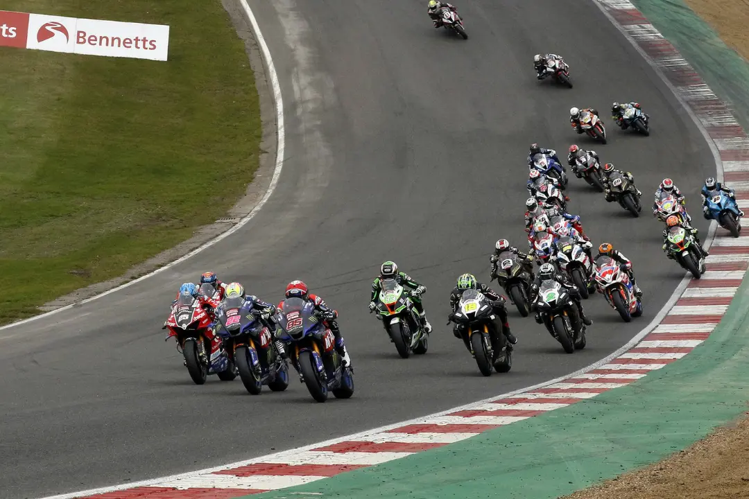 brandsbsb 2020