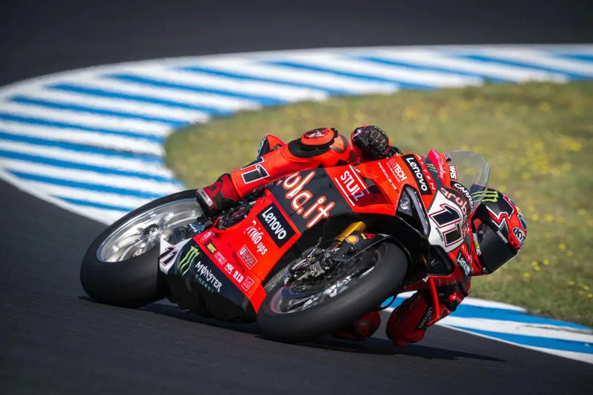 bulega 1