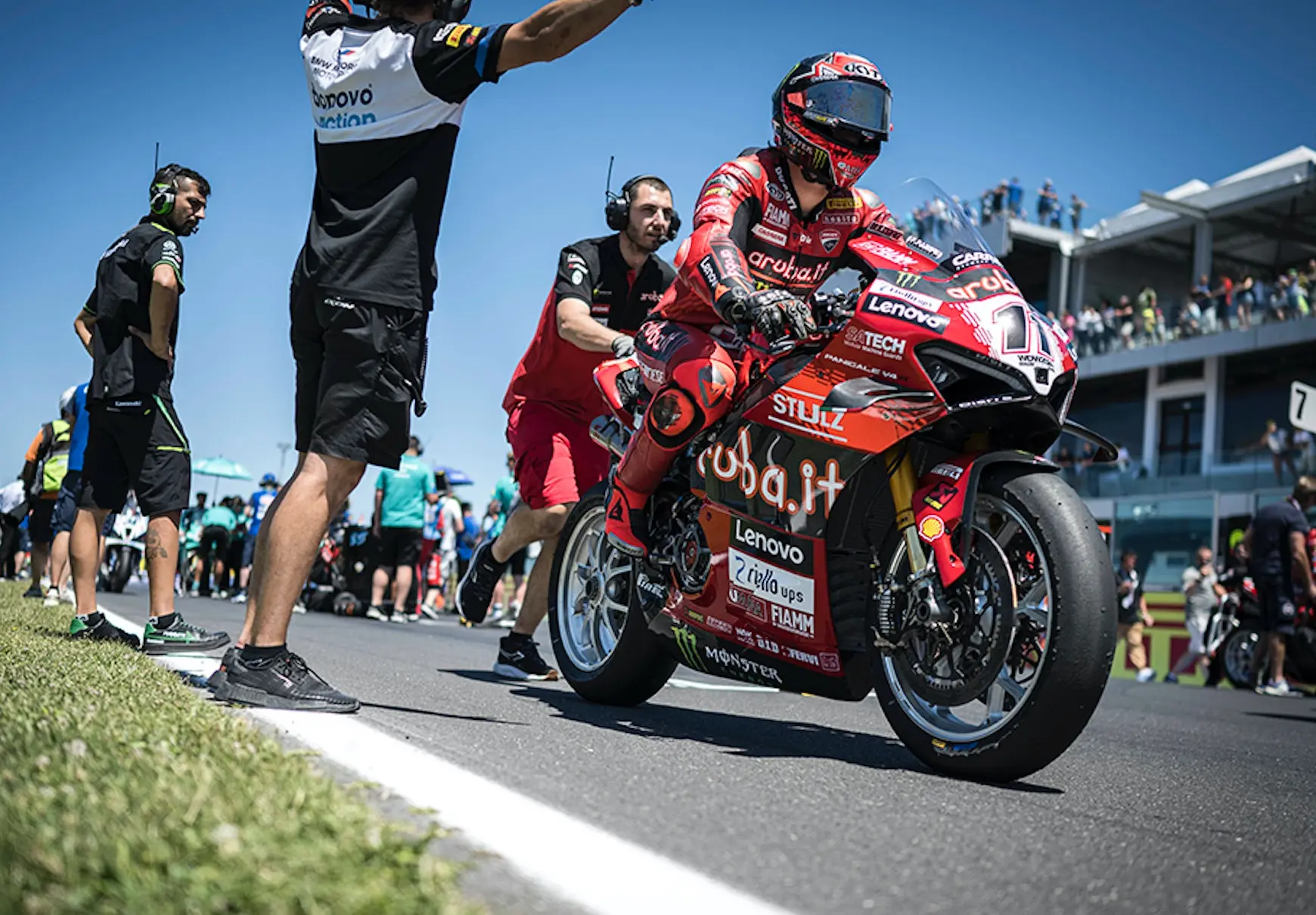 bulega 3