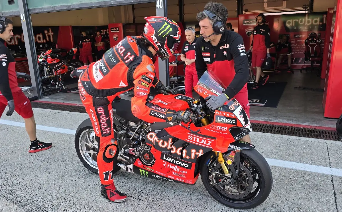 bulega 6
