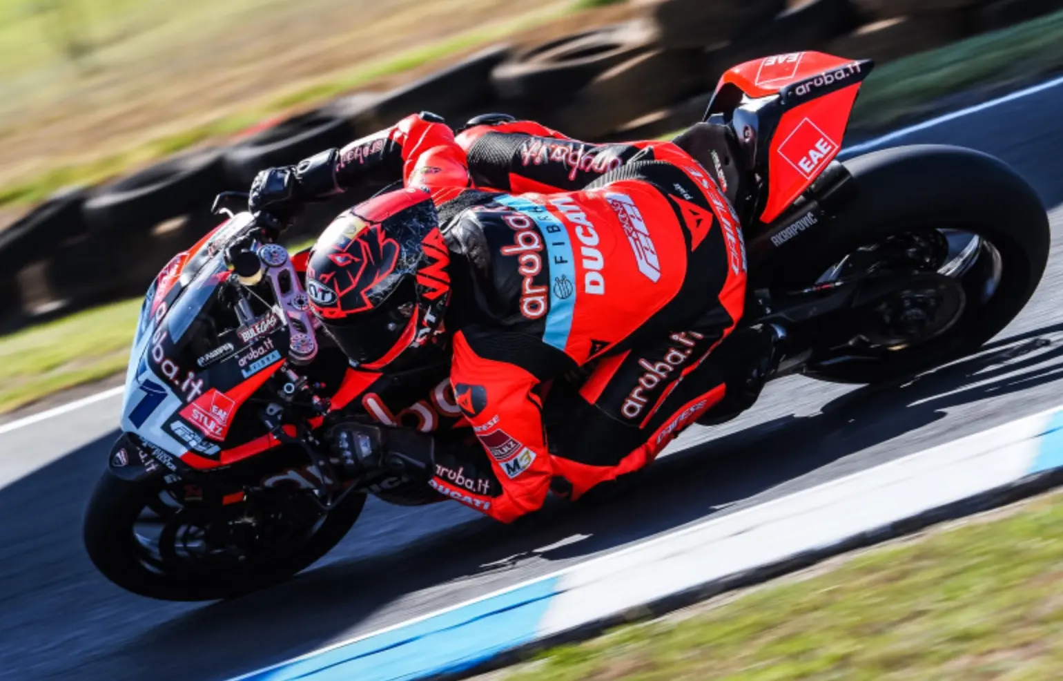 bulega