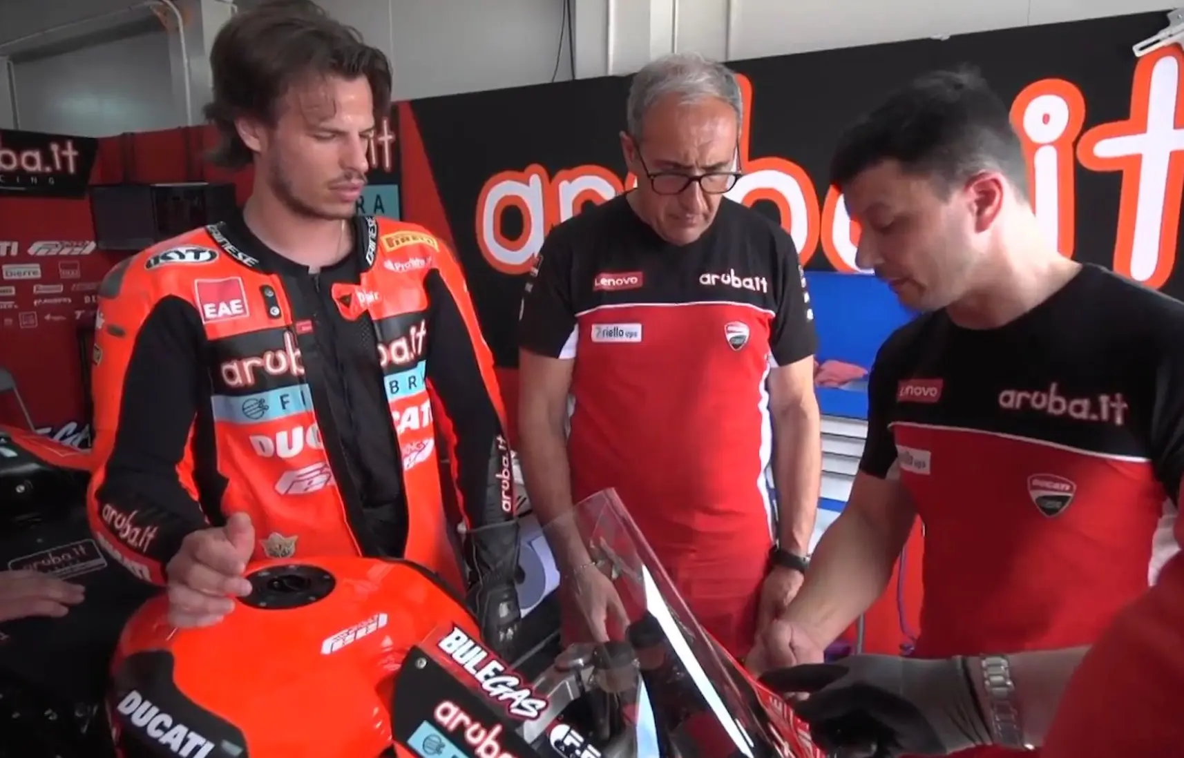 bulega